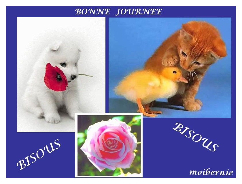 BONNE JOURNEE