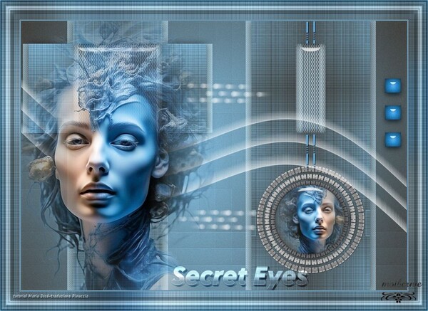 SECRET EYES