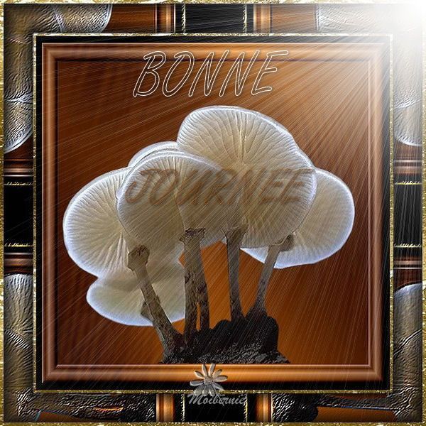 BONNE JOURNEE
