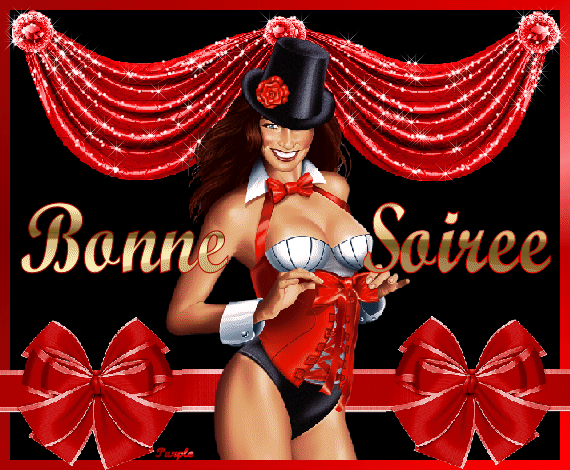 JE VOUS SOUHAITE UNE BONNE SOIREE