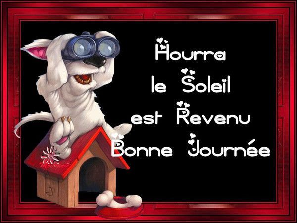BONNE JOURNEE